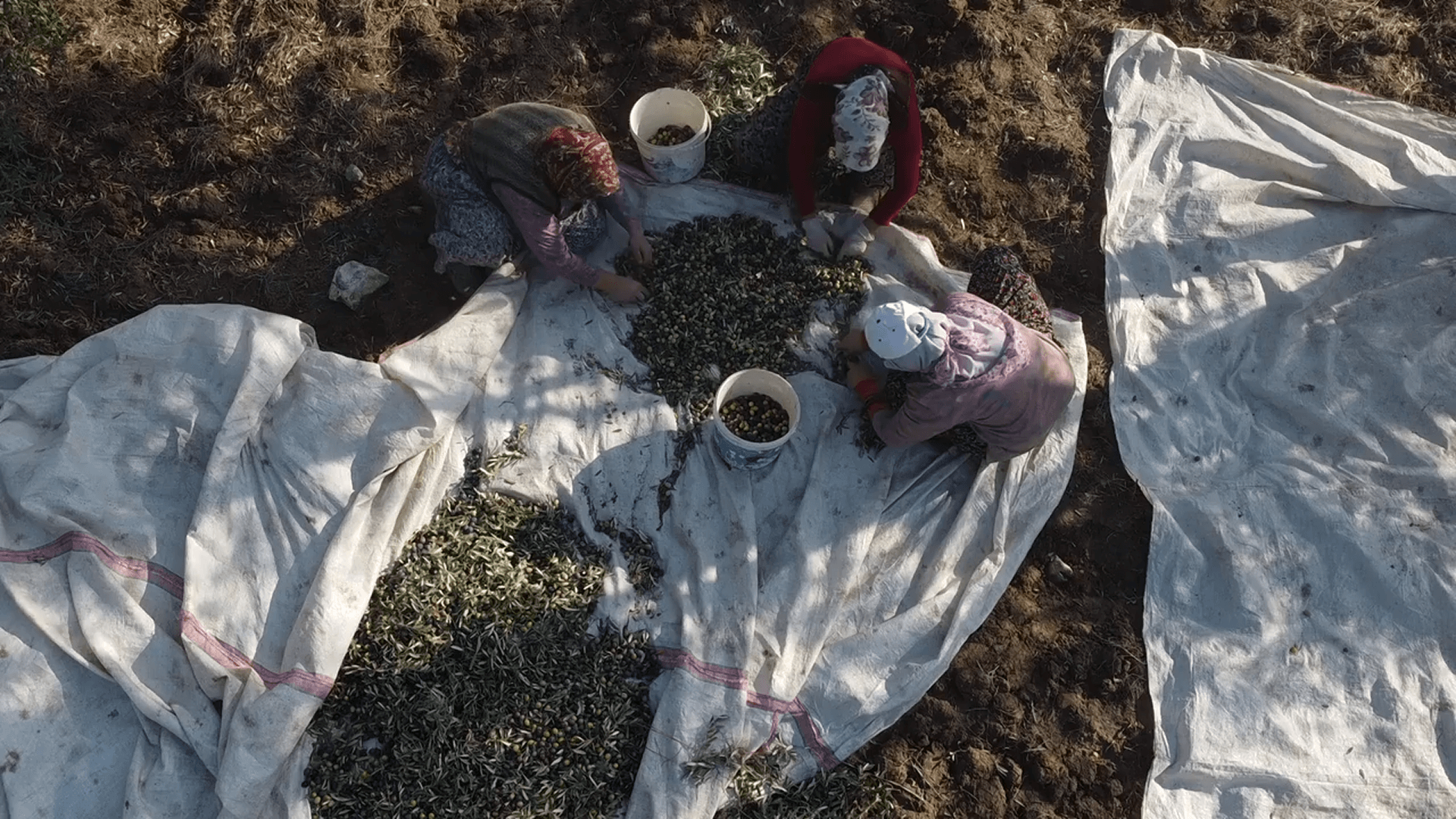 Doğallığın Sofranıza Yolculuğu